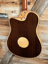 LR Baggs AEG-1 Acoustic Electric Guitar
