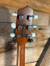 LR Baggs AEG-1 Acoustic Electric Guitar