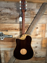 LR Baggs AEG-1 Acoustic Electric Guitar