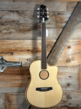 LR Baggs AEG-1 Acoustic Electric Guitar