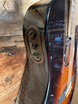 LR Baggs AEG-1 Acoustic Electric Guitar