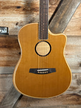 LR Baggs AEG-1 Acoustic Electric Guitar