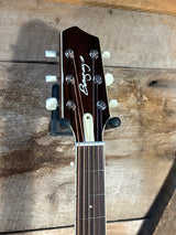 LR Baggs AEG-1 Acoustic Electric Guitar