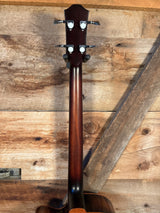 Teton Acoustic Bass