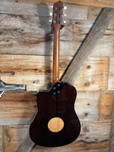 LR Baggs AEG-1 Acoustic Electric Guitar