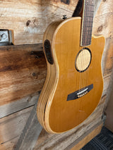 LR Baggs AEG-1 Acoustic Electric Guitar
