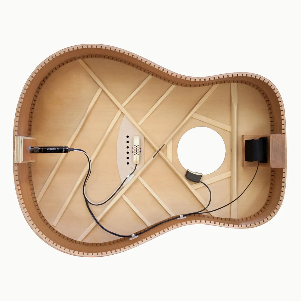 L.R. Baggs Anthem SL Acoustic Guitar Pickup – Starr's Guitars