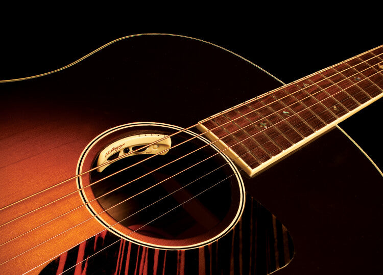 LR Baggs Acoustic Guitar Anthem Pickup + Microphone – Starr's Guitars