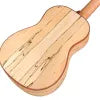 Demo Cordoba Baritone Uke 24B