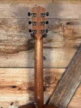 2026 Breedlove Roots Dreadnought RTD-SMEDe