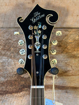 The Goldtone Grandmaster Mandolin Victorian