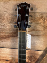 Taylor T3 with Bigsby