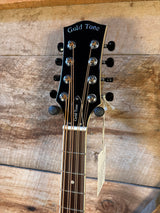 Gold Tone  I-Mandocello