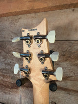 PRS CE 24