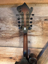 Washburn F-Style Mandolin