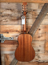 Alvarez AP66e