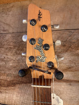 Godin Radiator