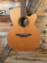 Takamine ETN40C