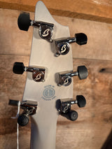 Breedlove Oregon Concert Permafrost LTD