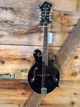 The Goldtone Grandmaster Mandolin Victorian