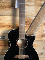 Alvarez 12 String Artist AG70CE