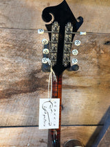 The Goldtone Grandmaster Mandolin Victorian