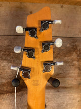 Godin Radiator