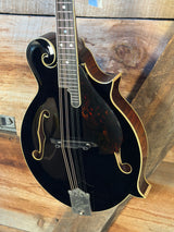 The Goldtone Grandmaster Mandolin Victorian