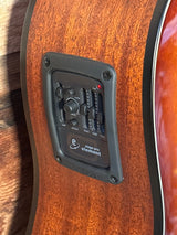 Alvarez AG60ce Grand Auditorium  Artist Series