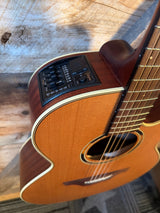 Takamine ETN40C