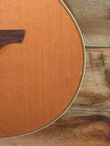 Takamine ETN40C