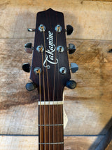 Takamine ETN40C
