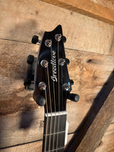 Breedlove Oregon Concert Permafrost LTD