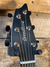 Breedlove Oregon USA Companion