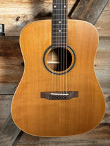 Teton Dreadnought Acoustic Lefty