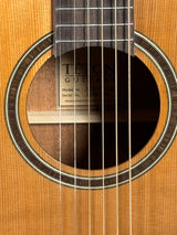 Teton Dreadnought Acoustic Lefty