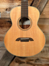 Alvarez ALJ2e Little Jumbo Travel