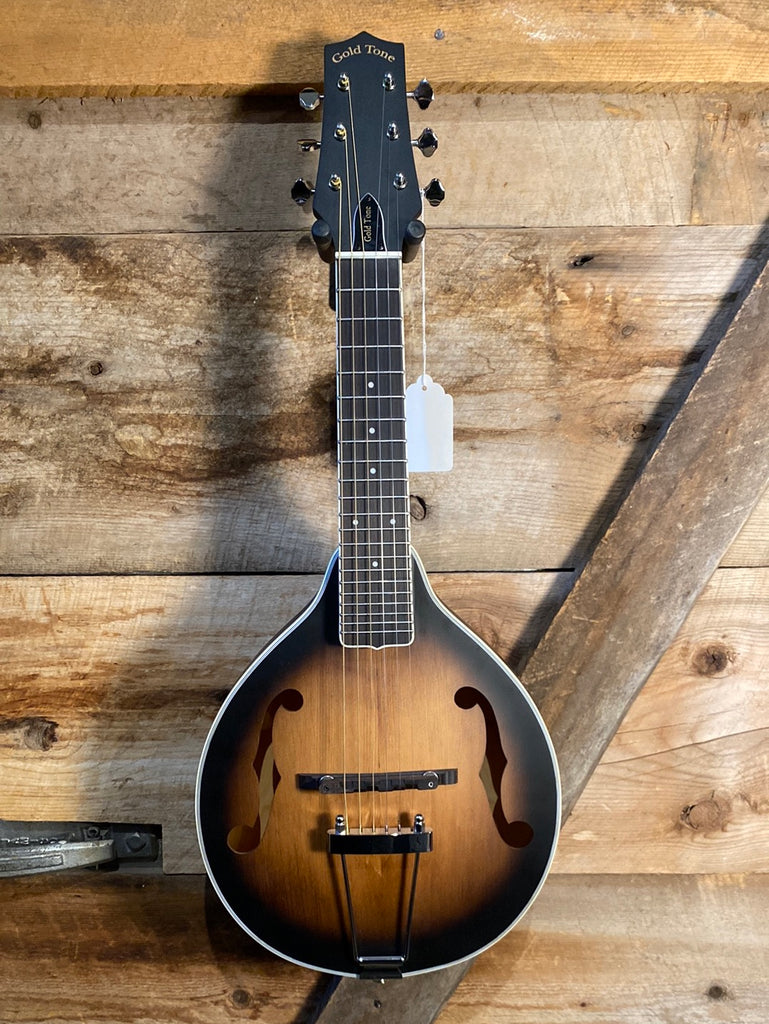 Manditar Instrument Gold Tone Mando-Guitar A-6 – Starr's Guitars