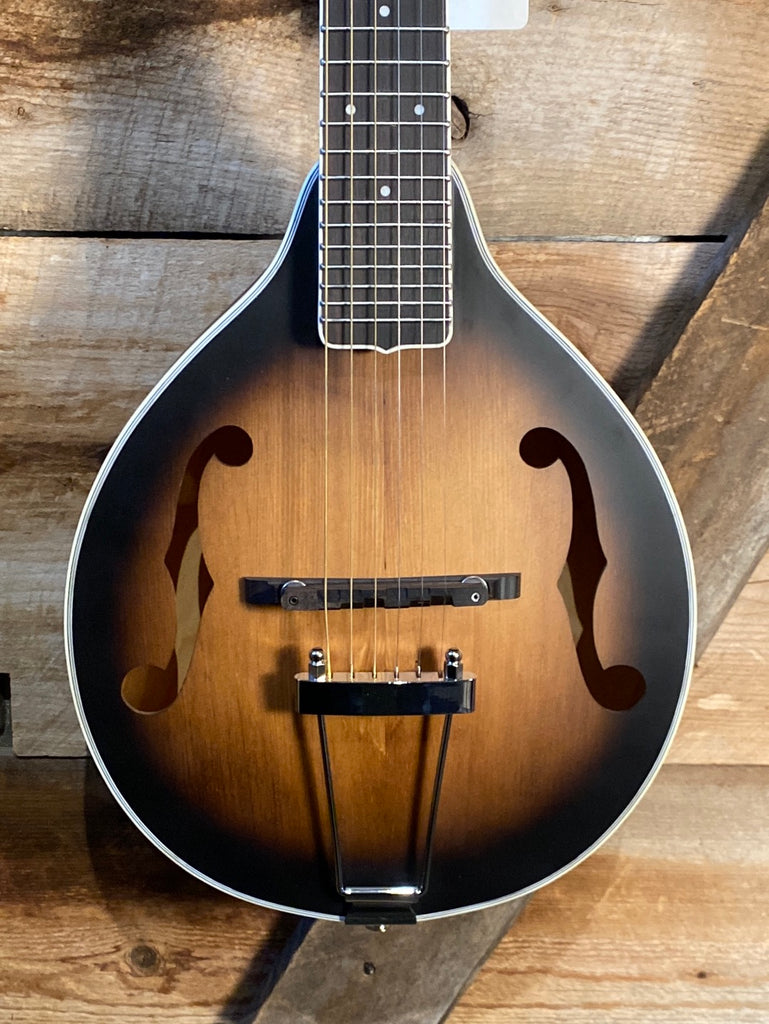 Manditar Instrument Gold Tone Mando-Guitar A-6 – Starr's Guitars
