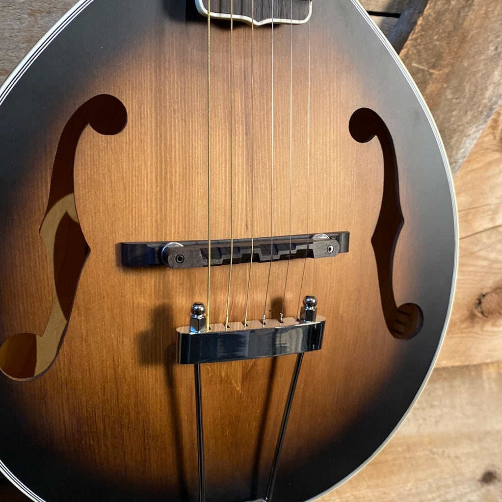 Gold Tone Mando-Guitar A-6 – Starr's Guitars