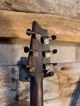 Breedlove Performer Pro Concerto CE