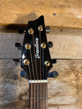 Breedlove Performer Pro Concerto CE