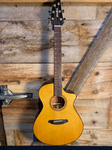 Breedlove Performer Pro Concerto CE