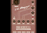 LR Baggs Para DI Acoustic Preamp